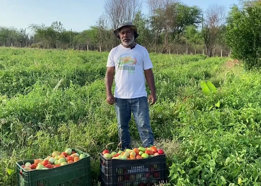 Imagem destacada Projeto da Embrapa Garante Retorno Social de R$ ,