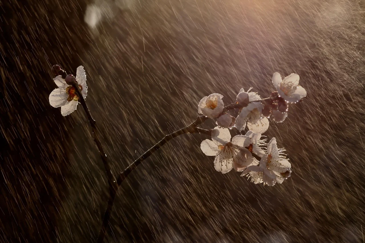 Imagem destacada Instabilidade e Calor Trazem Temporais ao País Nesta Terça