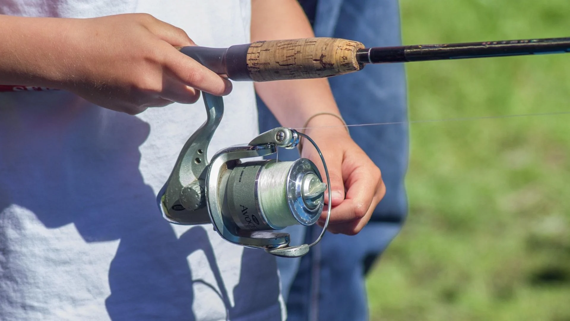 Imagem destacada Prazo para Envio do REAP Termina Nesta Quarta