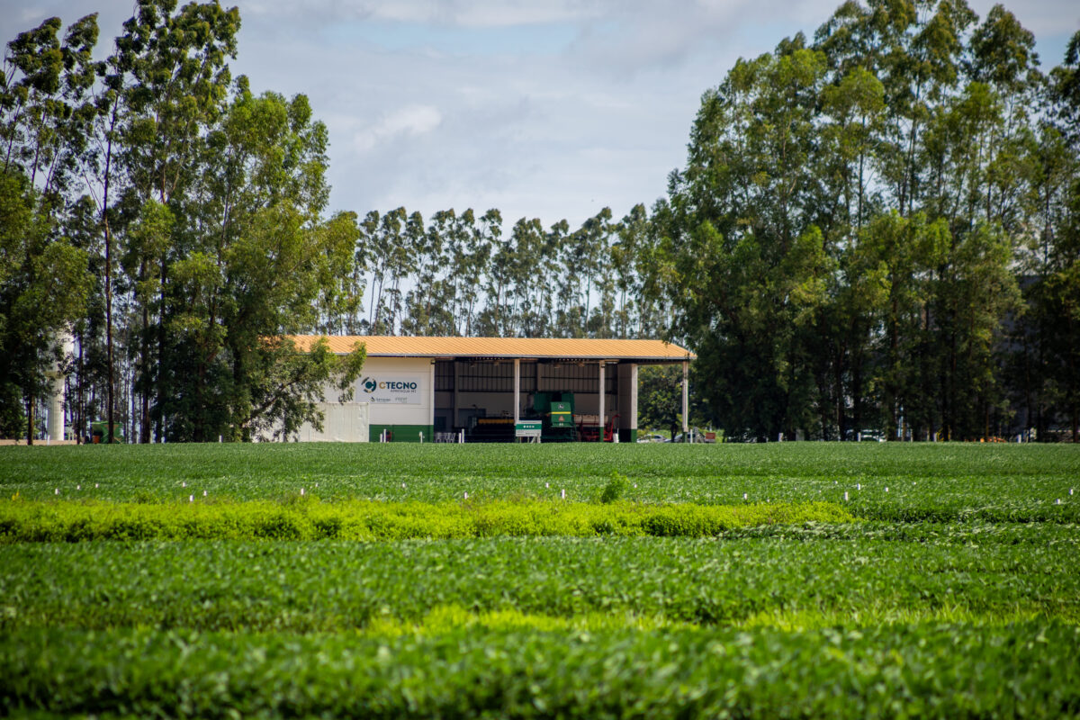 Imagem destacada Centro Parecis Orienta Produtores de MT no Manejo da Soja