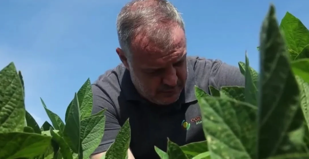 Imagem destacada Produtores de Soja do Paraná Reforçam Manejo Contra o Clima