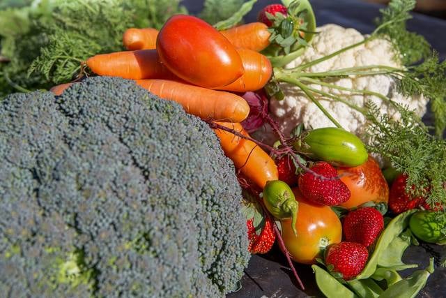 Crédito e Assistência Impulsionam Produção Orgânica em SP - Imagem do artigo original