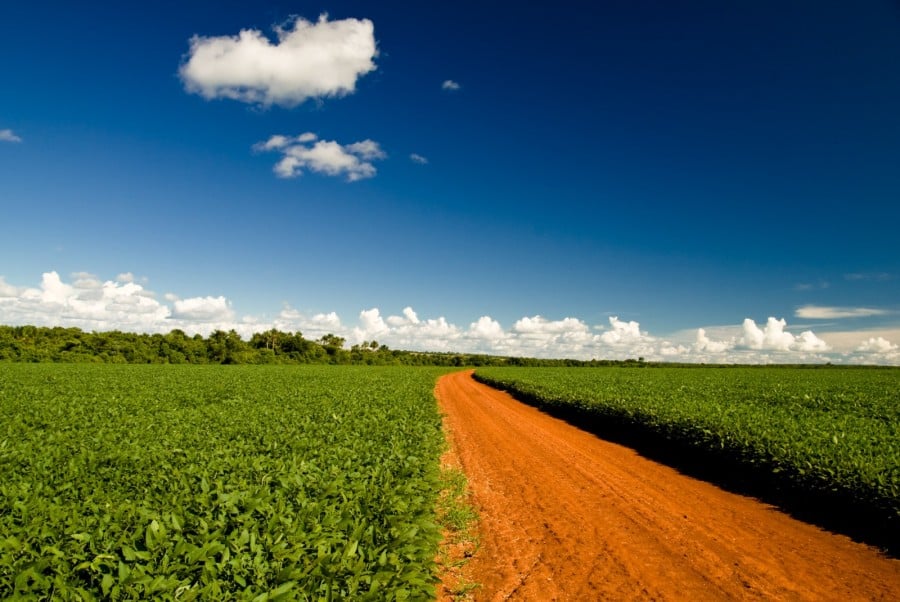 Abiove Formaliza Saída da Moratória da Soja em MT - Imagem do artigo original