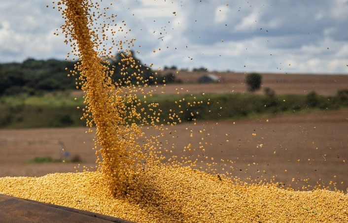 Goiás Colhe Safra Recorde de 37,3 Mi t de Grãos - Imagem do artigo original