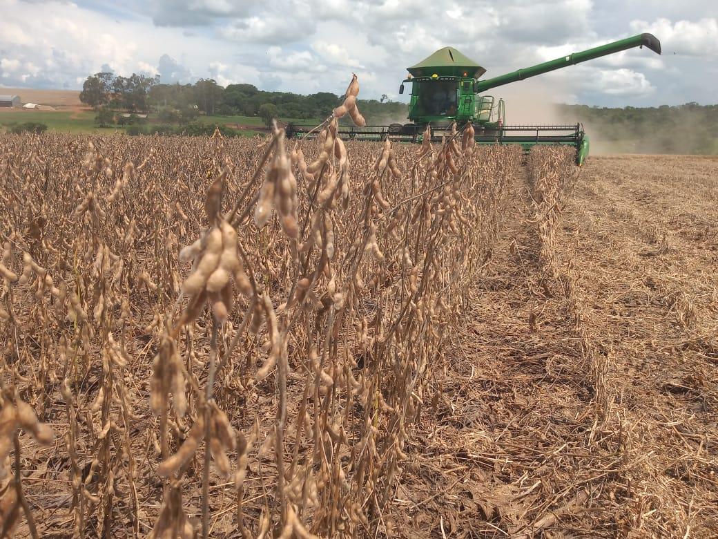 Produção Agropecuária Goiana Bate Recordes em 2025 - Imagem do artigo original