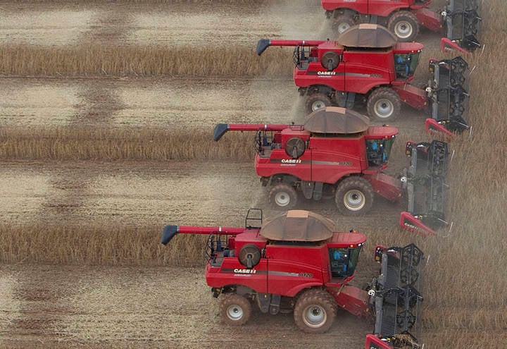Soja Avança em Regiões do Brasil com Apoio de Chicago - Imagem do artigo original
