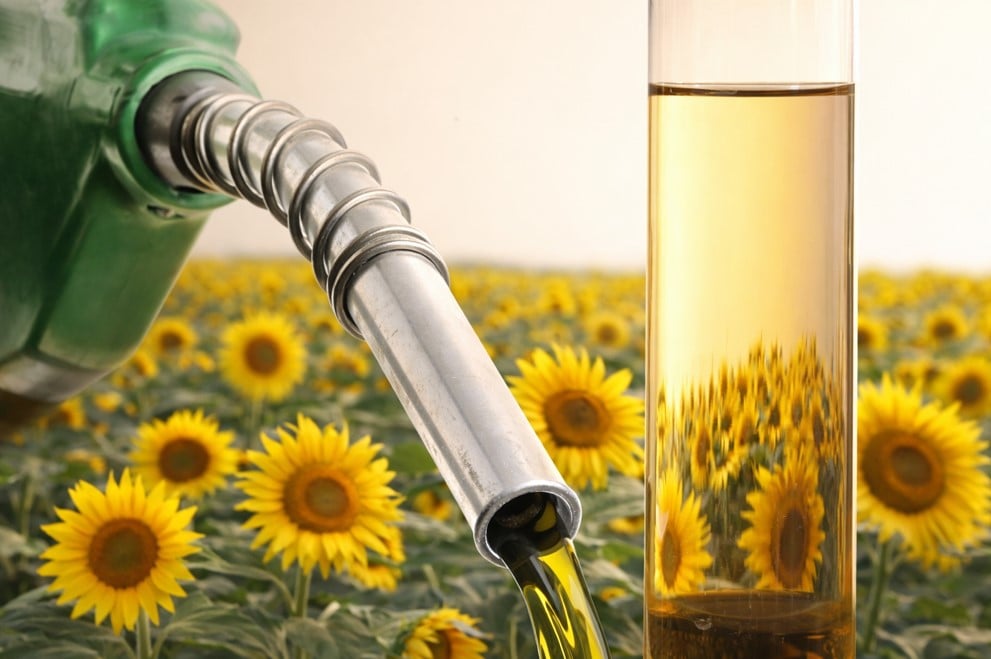 Corteva e bp Formam Etlas para Produzir SAF e Diesel - Imagem do artigo original