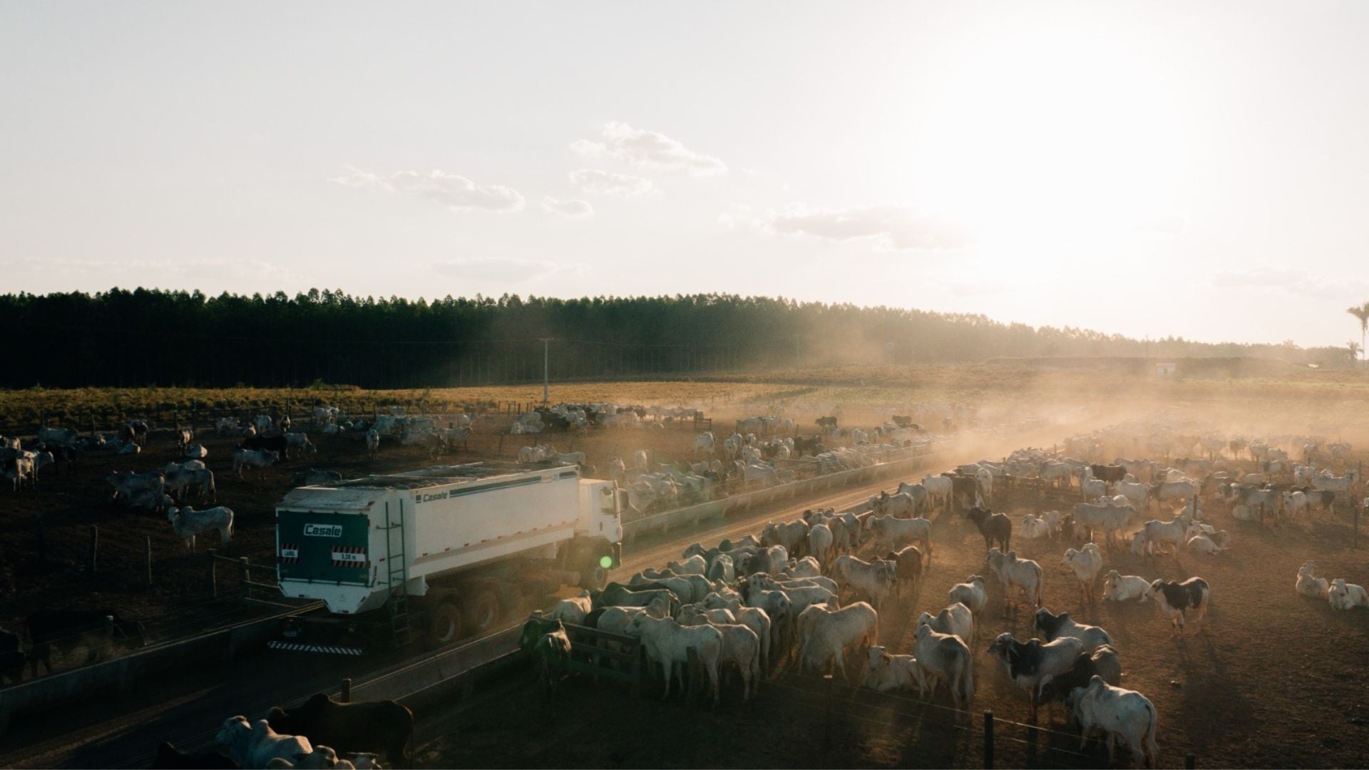 Sucessão Familiar no Agronegócio Exige Planejamento - Imagem do artigo original