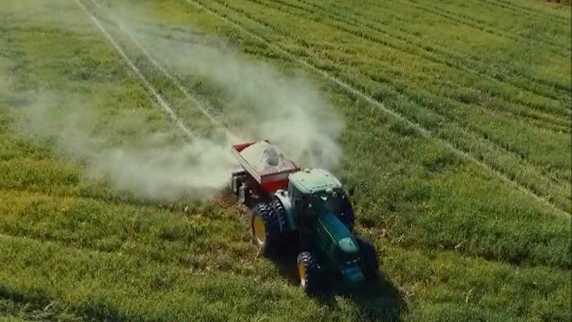 Adubação Fosfatada Exige Solo Corrigido para Pastos Vigorosos - Imagem do artigo original