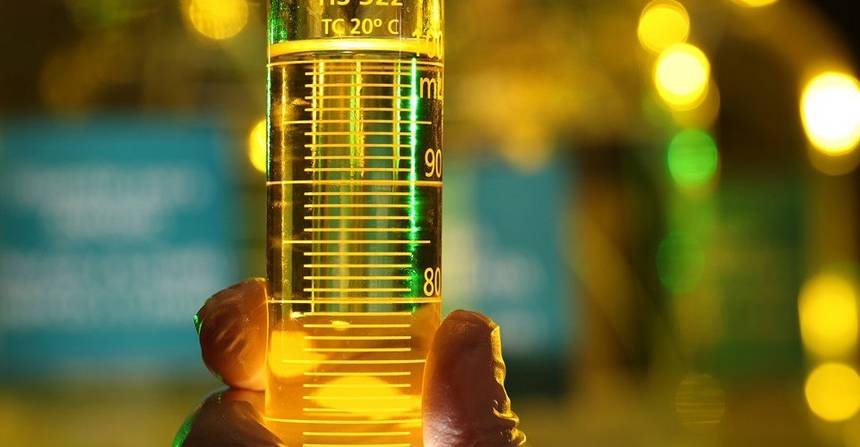 Imagem destacada Bioenergia Impulsionará Agro Brasileiro até