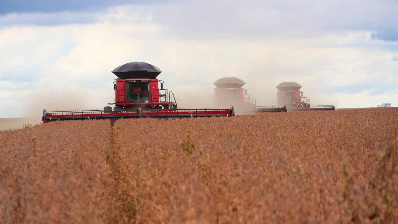Imagem destacada Coopavel Inicia Colheita de Soja com ,% das Lavouras