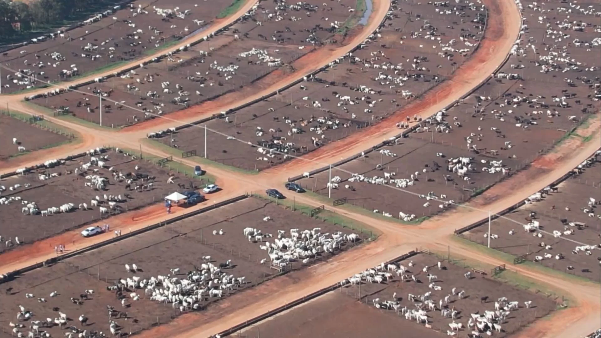 Imagem destacada Confinamento Fecha Com Margem de até % no Brasil