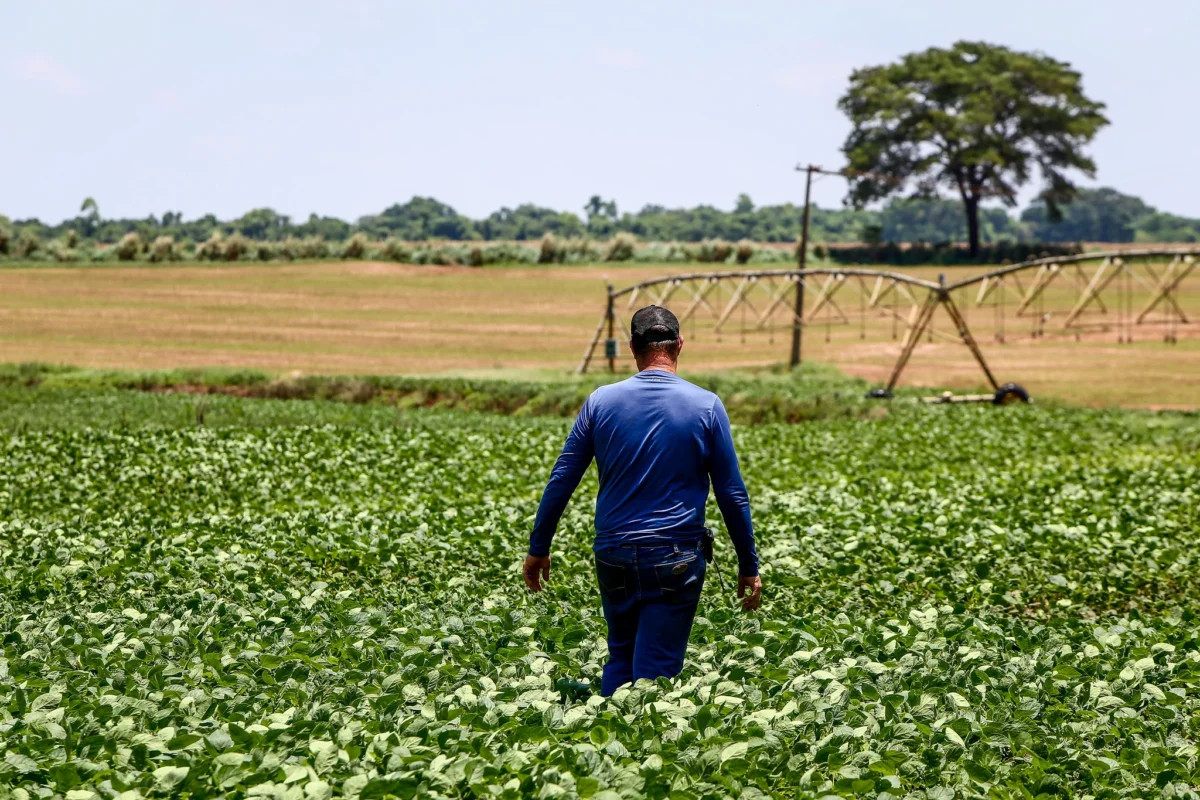 Imagem destacada Regularização Fundiária e Crédito Impulsionam Agro Paulista