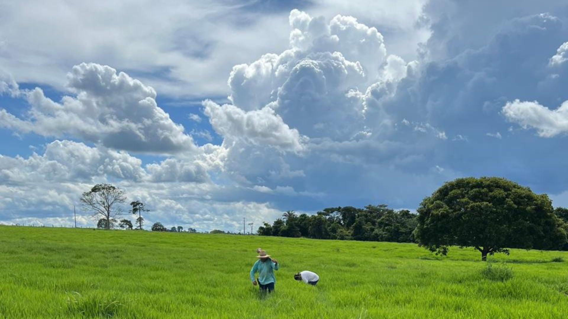 Fazenda Recanto Eleva Lucro e Produtividade em 2026 - Imagem do artigo original
