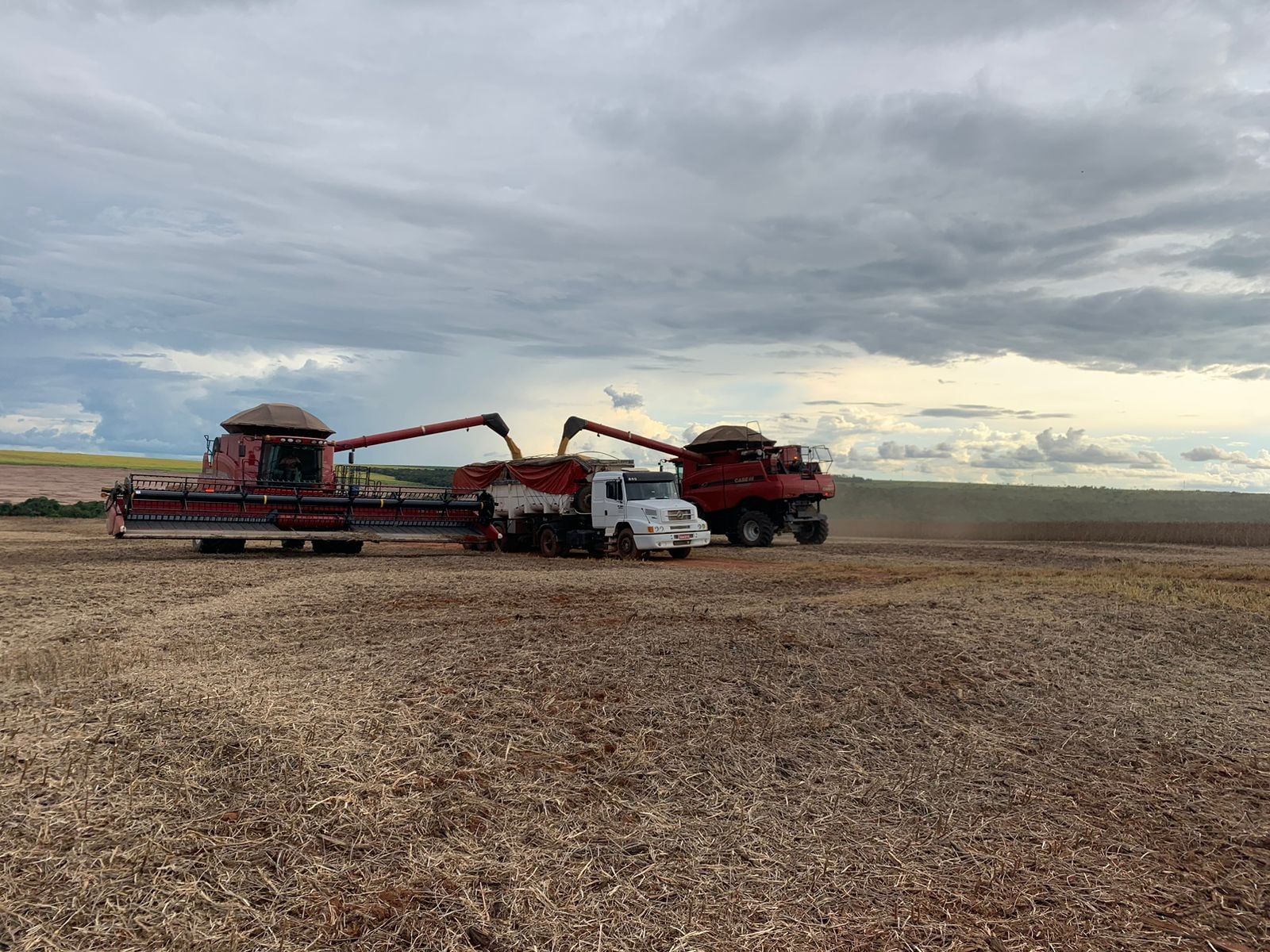 MT Tem 25% da Soja Colhida e Plantio de Milho em 16% - Imagem do artigo original