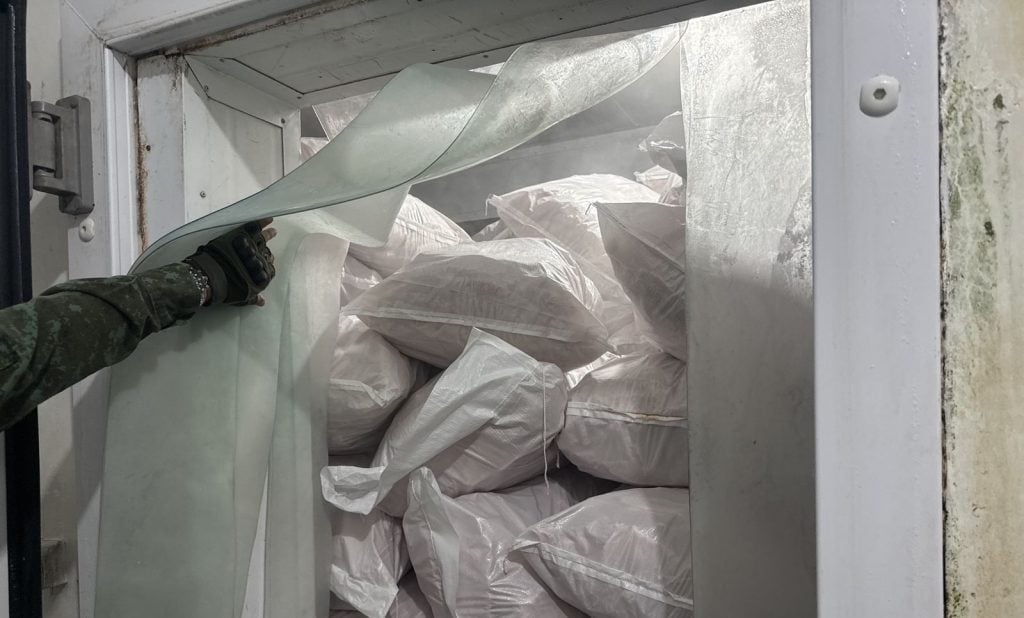 Ipaam Apreende 100 t de Peixe e Aciona MP no Amazonas - Imagem do artigo original