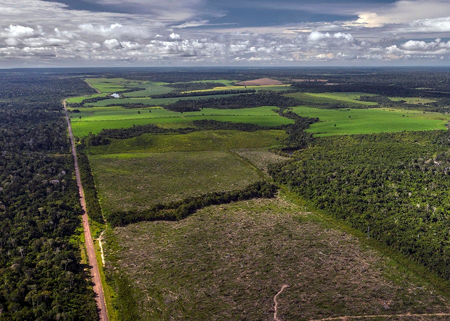 Fundo Amazônia Libera R$ 80 Mi para Produção Sustentável - Imagem do artigo original