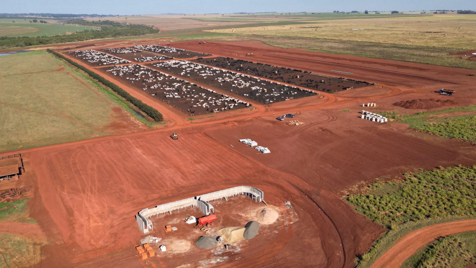 Fazenda Cerejo Combina ILP e Boitel para Abates Precoces - Imagem do artigo original