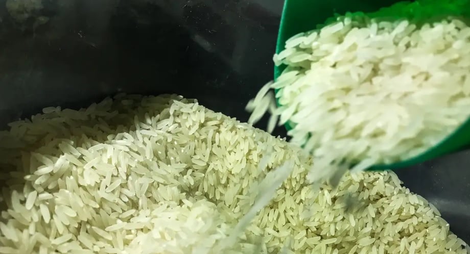 Preço do Arroz Se Mantém Firme no RS, Diz Cepea - Imagem do artigo original
