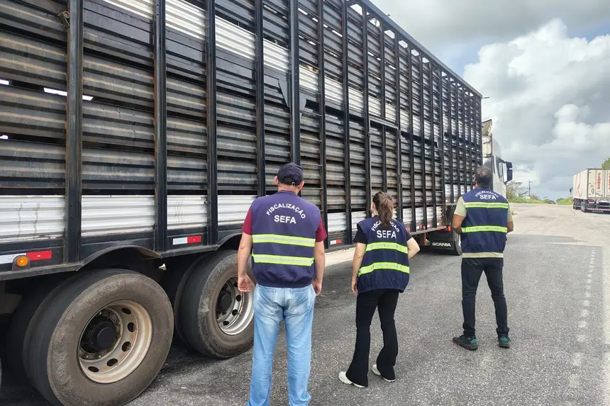 Fiscais Apreendem 140 Bois Avaliados em R$ 336 Mil no Pará - Imagem do artigo original