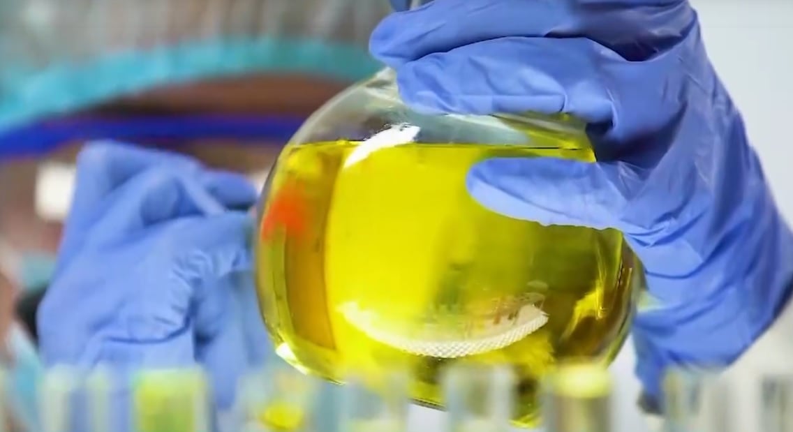 Coalizão Pelos Biocombustíveis É Lançada na Câmara - Imagem do artigo original