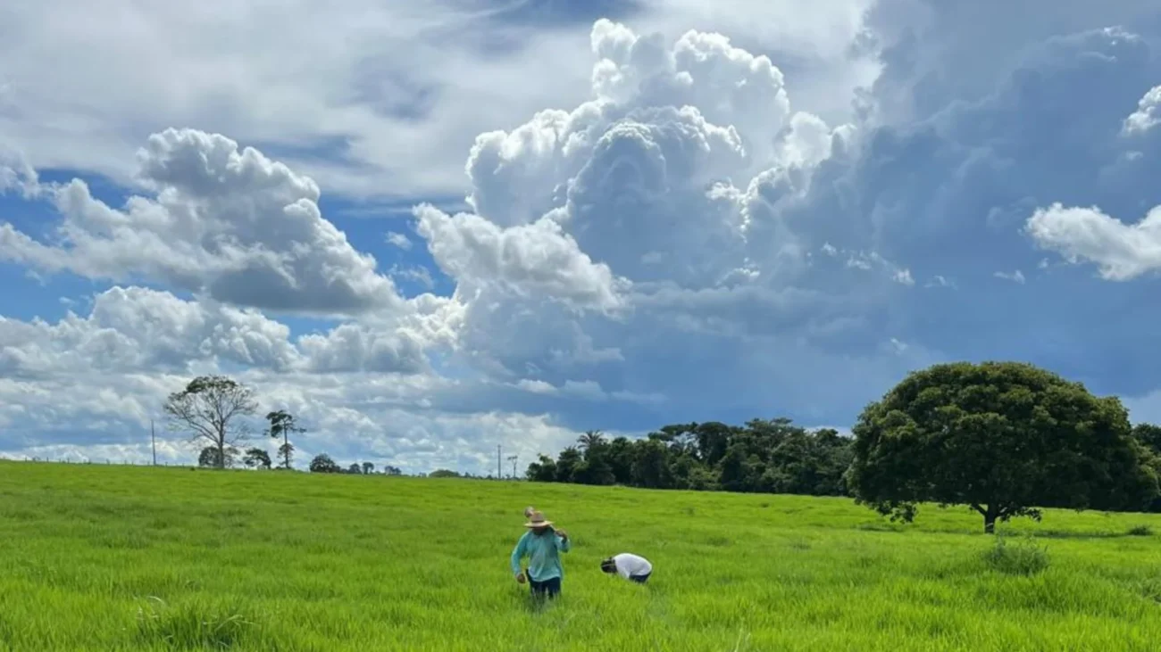 Imagem destacada Fazenda Recanto Eleva Lucro e Produtividade em