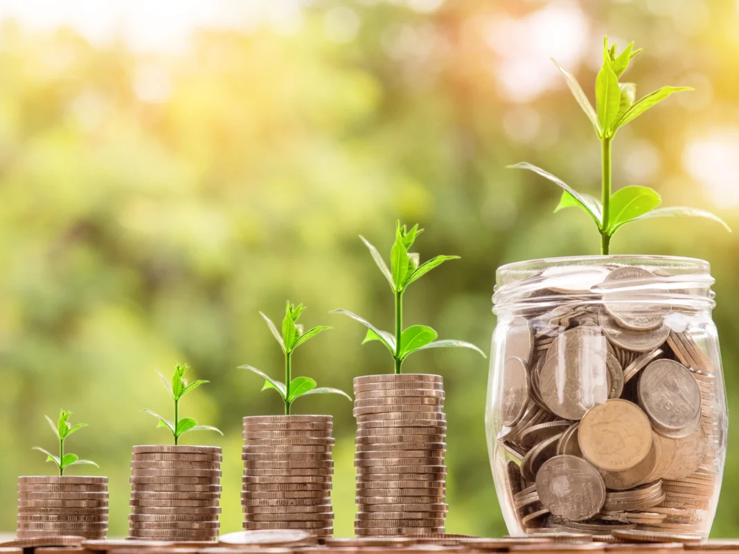 Imagem destacada Crédito Rural Sustentável Cai ,% no º Semestre