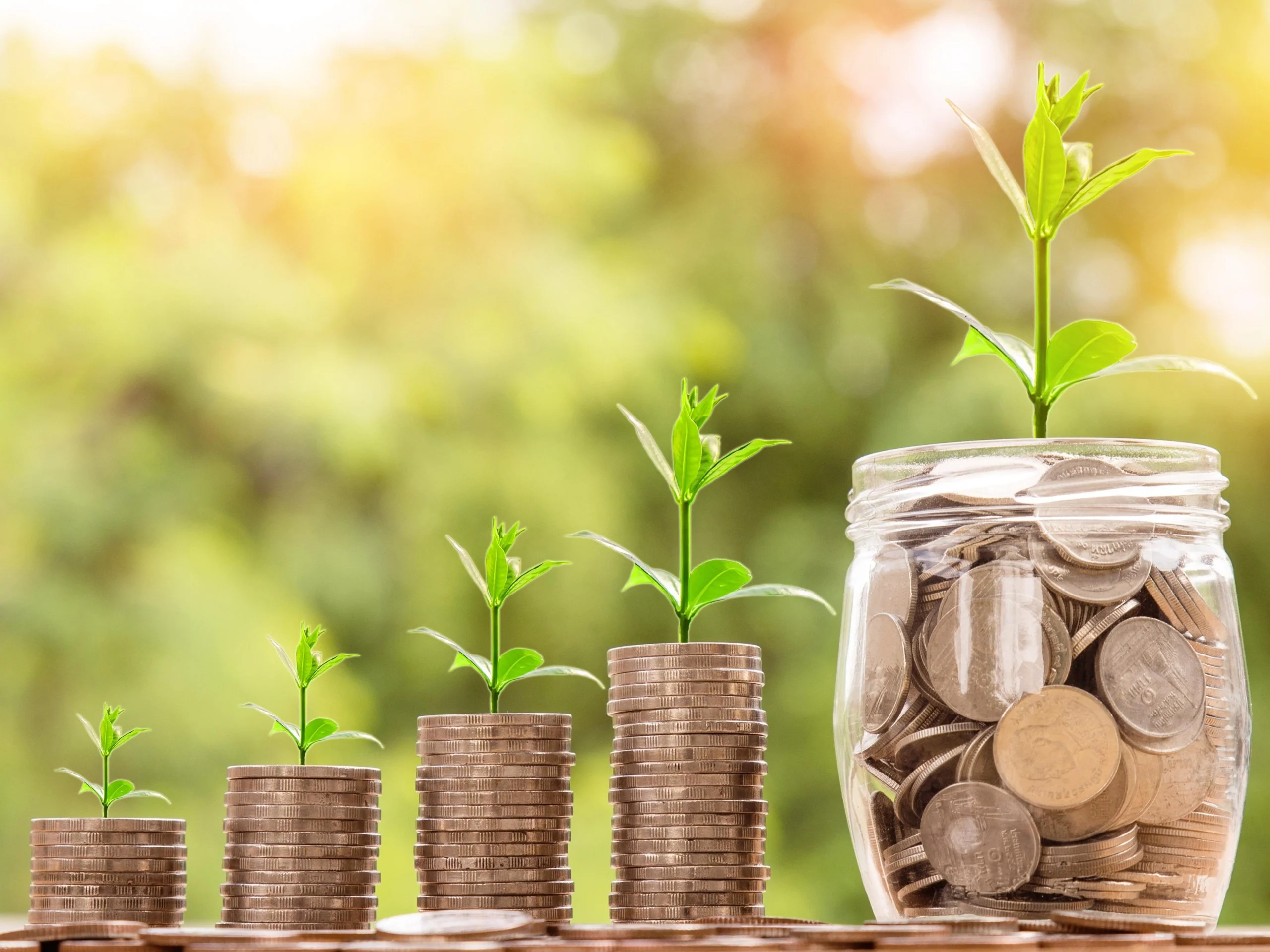 Imagem destacada Crédito Rural Sustentável Cai ,% no º Semestre