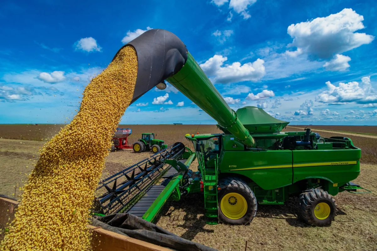 Imagem destacada Argentina Registra Recorde no Processamento de Oleaginosas