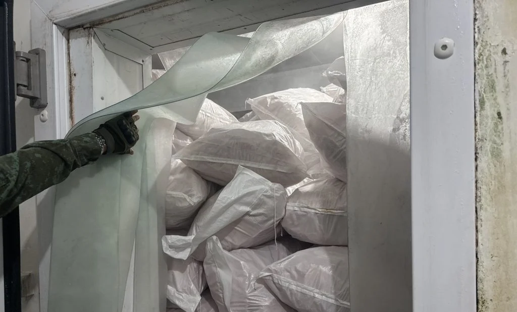 Imagem destacada Ipaam Apreende t de Peixe e Aciona MP no Amazonas