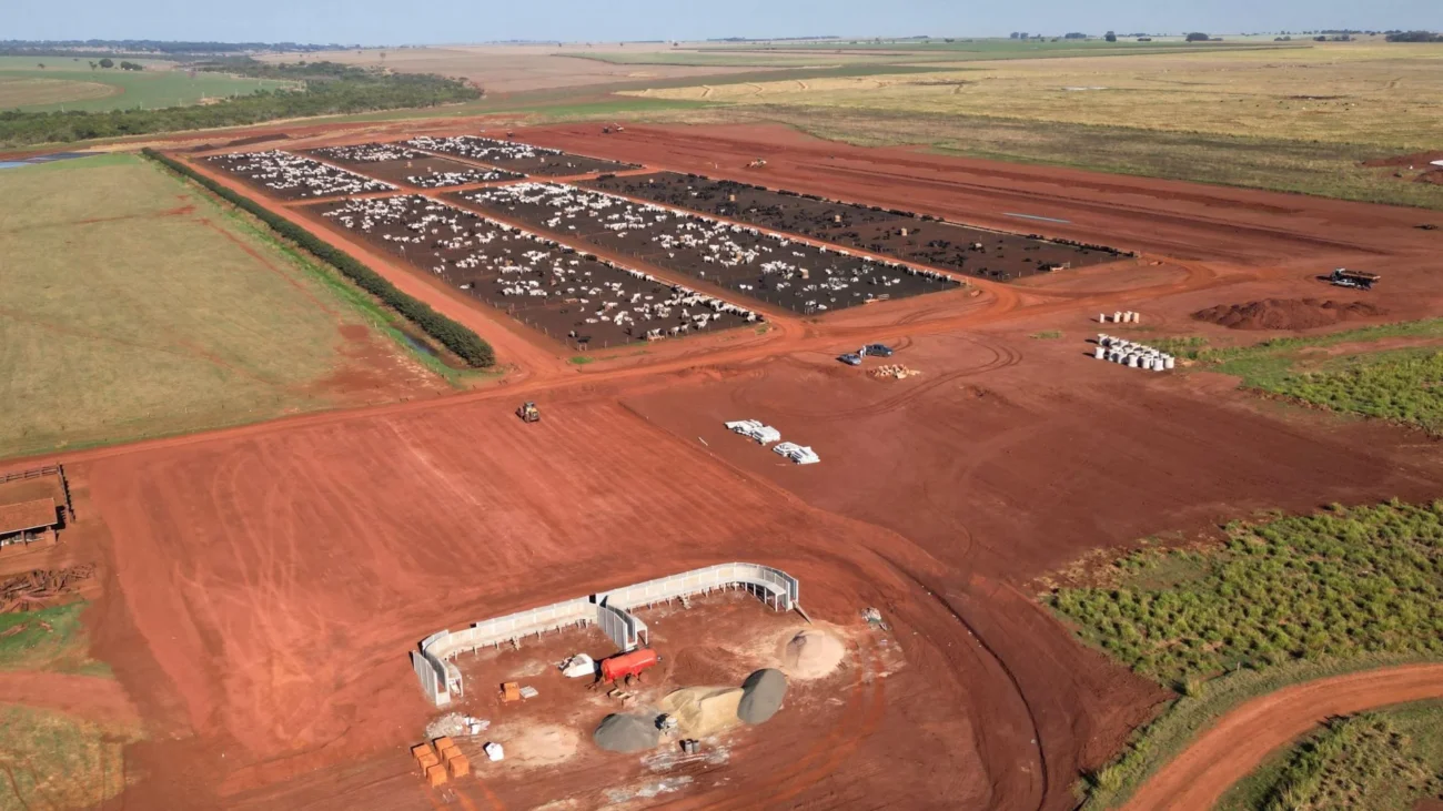 Imagem destacada Fazenda Cerejo Combina ILP e Boitel para Abates Precoces