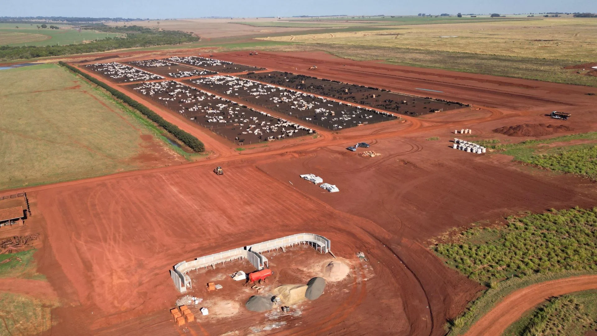 Imagem destacada Fazenda Cerejo Combina ILP e Boitel para Abates Precoces