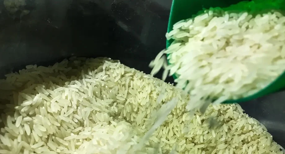 Imagem destacada Preço do Arroz Se Mantém Firme no RS, Diz Cepea