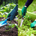 5 Soluções naturais para solos e plantas mais saudáveis